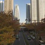 新宿の紅葉