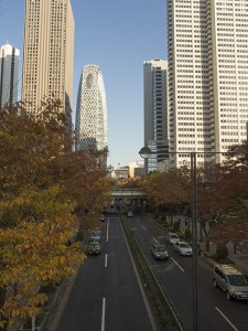 新宿の紅葉